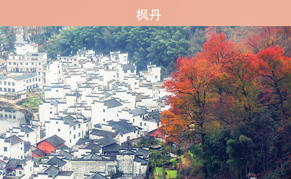 淡云作品《秋天里的中国色》组图 (8)   600.jpg