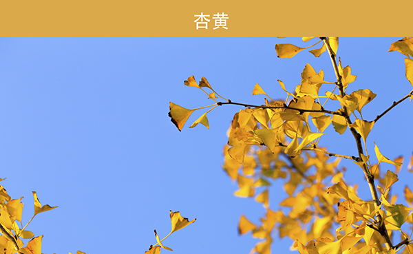 淡云作品《秋天里的中国色》组图 (3)     600.jpg