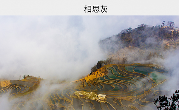 淡云作品《秋天里的中国色》组图 (1)    600.jpg